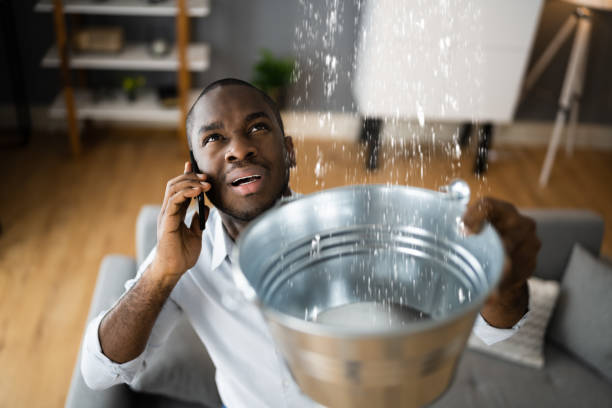 Best Basement water damage restoration  in Montgomery, IL
