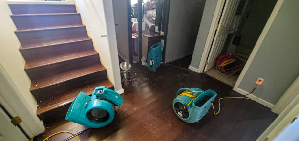 Best Water damage restoration near me  in Montgomery, IL