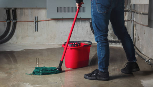 Best Carpet water damage restoration  in Montgomery, IL
