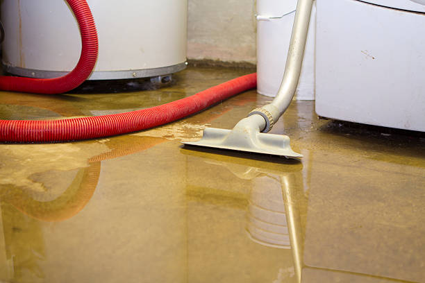 Best Sewage cleanup and water damage restoration  in Montgomery, IL