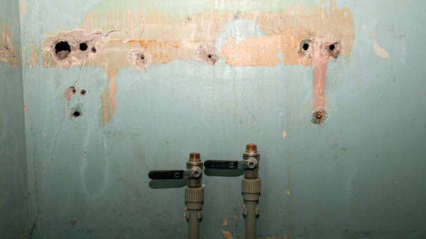 Best Commercial water damage restoration  in Montgomery, IL