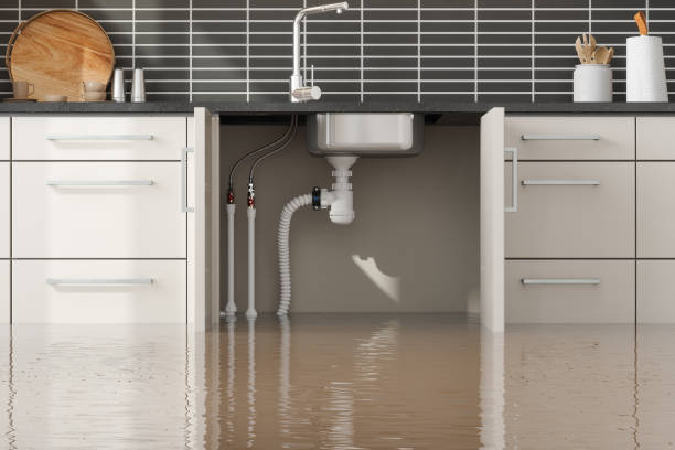 Best Emergency water damage restoration  in Montgomery, IL