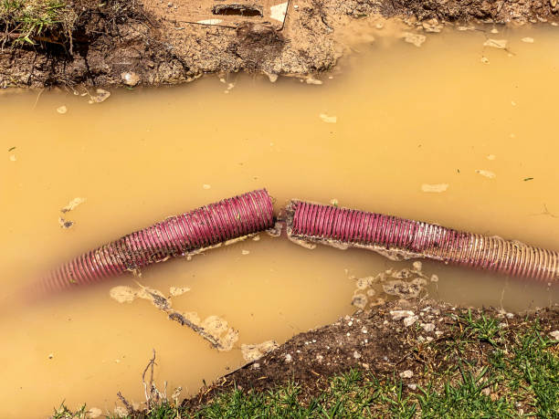 Best Flood restoration services  in Montgomery, IL
