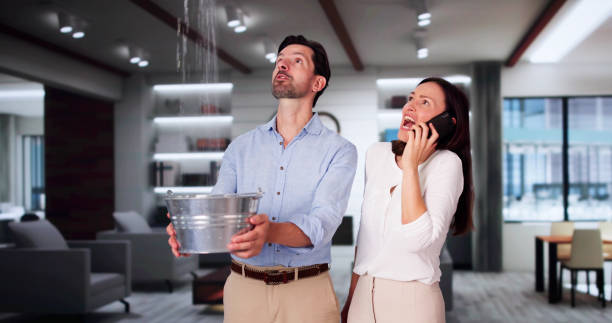 Best Mold removal after water damage  in Montgomery, IL