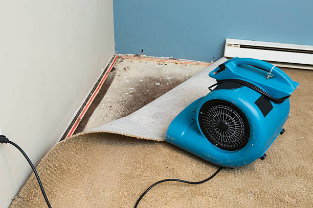 Best Flood damage cleanup  in Montgomery, IL